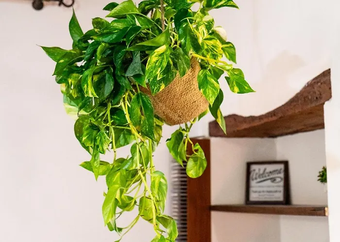 Dimora Di Veggio Casa Elegante E Accogliente Con Parcheggio In Loc Appartement *