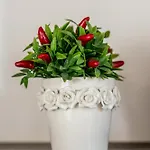 아파트 Dimora Di Veggio Casa Elegante E Accogliente Con Parcheggio In Loc