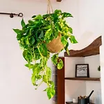 Dimora Di Veggio Casa Elegante E Accogliente Con Parcheggio In Loc Apartment *