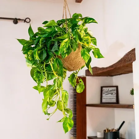 Dimora Di Veggio Casa Elegante E Accogliente Con Parcheggio In Loc Lägenhet *