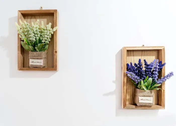 Apartment Dimora Di Veggio Casa Elegante E Accogliente Con Parcheggio In Loc *